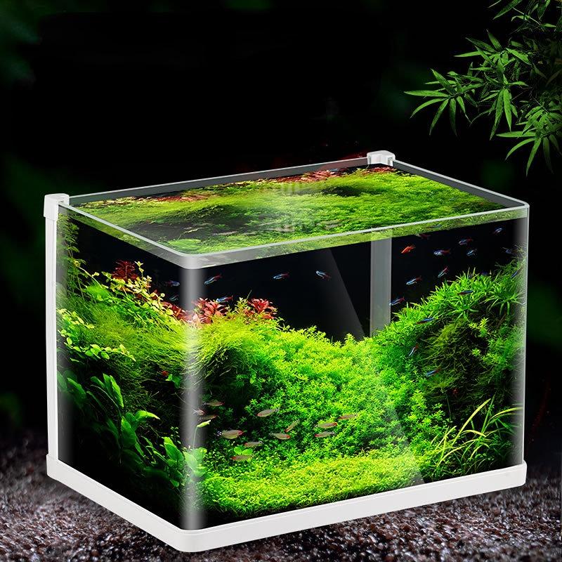 ಹೆಚ್ಚುವರಿ ಸ್ಪಷ್ಟವಾದ ಬಾಗಿದ ಗಾಜು (ಟ್ಯಾಂಕ್ ಮಾತ್ರ) | ಗಾತ್ರ L*W*H = 45*28*30 cm | 6ಮಿ.ಮೀ