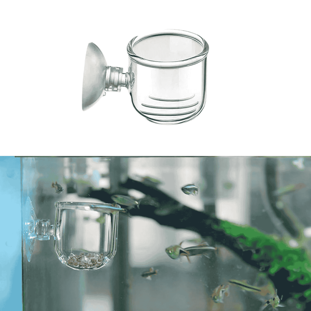 Aquarium Plant Holder Cup Acrylic