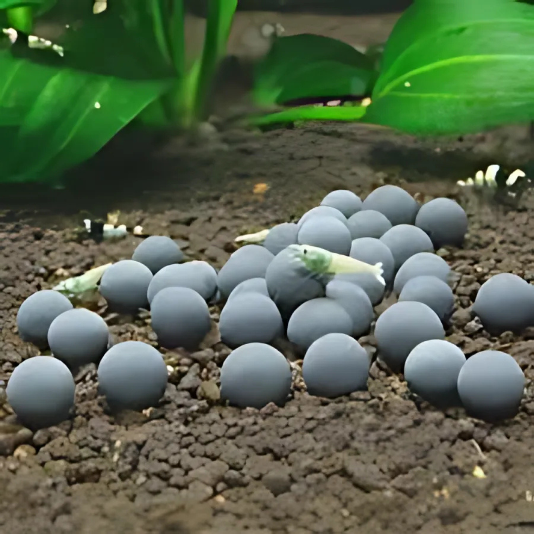 ಹೂ ಕೊಂಬು ಪ್ರೊ ಮಿನ್ ಗೋಲಿಗಳು ಗೂನು ಮತ್ತು ಬಣ್ಣದ ಮೀನು 45 ಗ್ರಾಂ