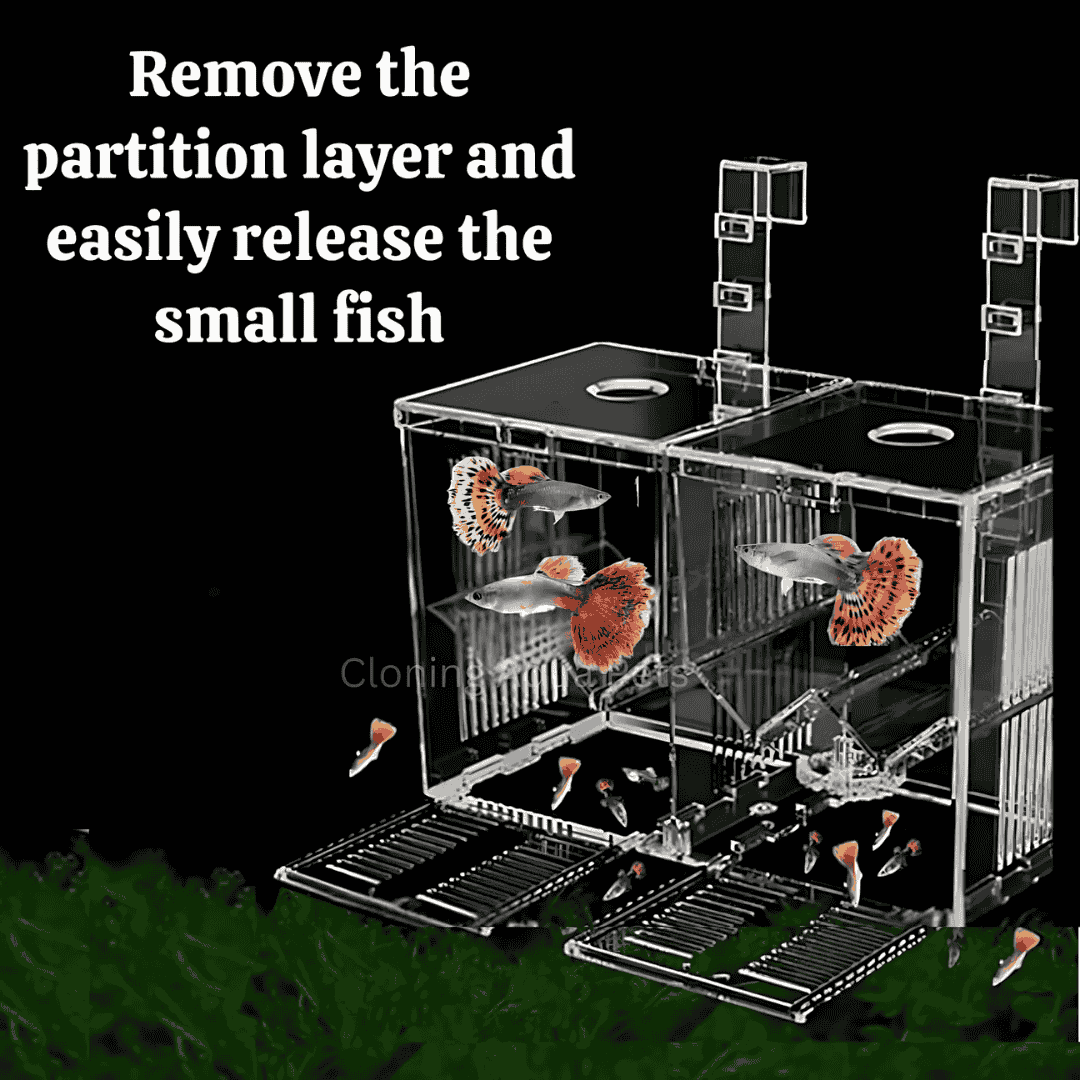 ಬ್ರೆಡ್ಡಿಂಗ್ ಬಾಕ್ಸ್ | ತಳಿ ನಿವ್ವಳ