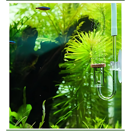 CO2 COOL NOW Glass Diffuser