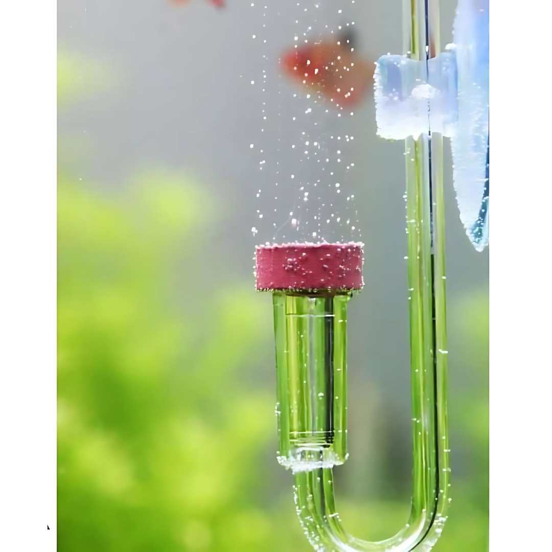 CO2 COOL NOW Glass Diffuser