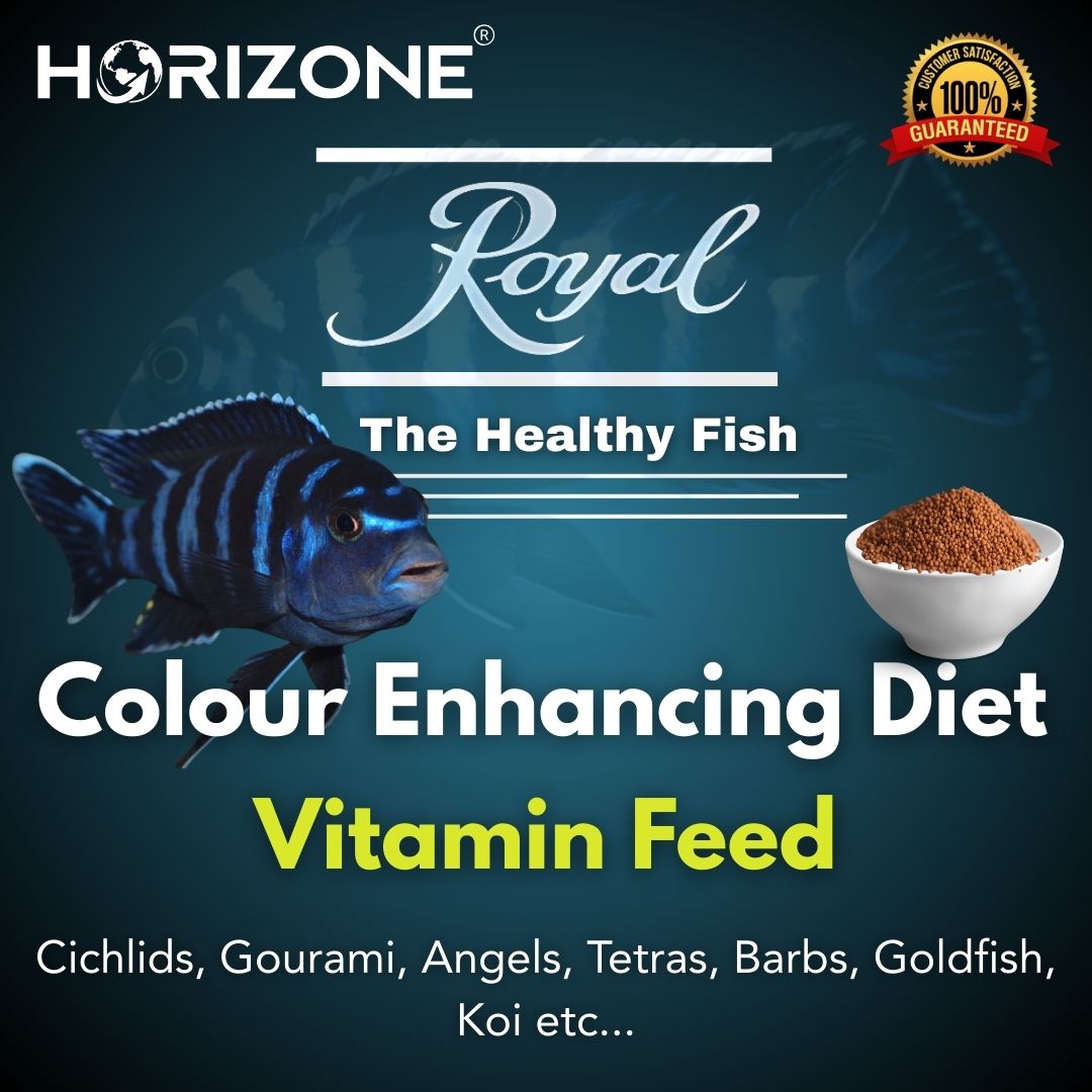 Food Royal Colour Enhancer Vitamin Cichlid 50g