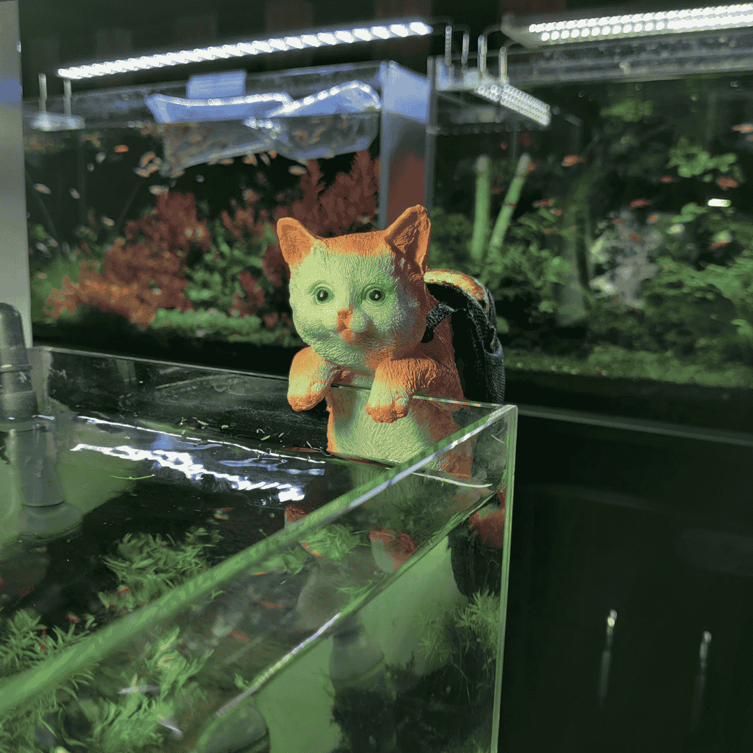 Decor Toy - 6*4*6 Inches - Hanging Cat