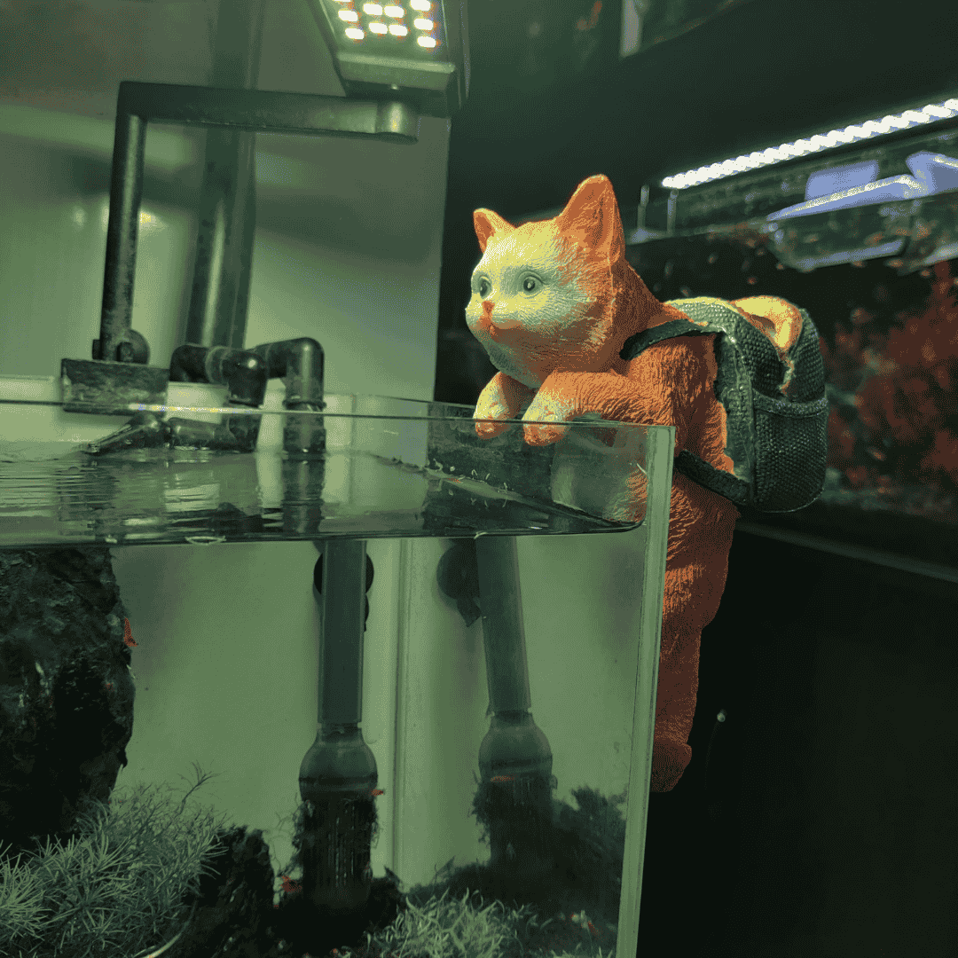 Decor Toy - 6*4*6 Inches - Hanging Cat