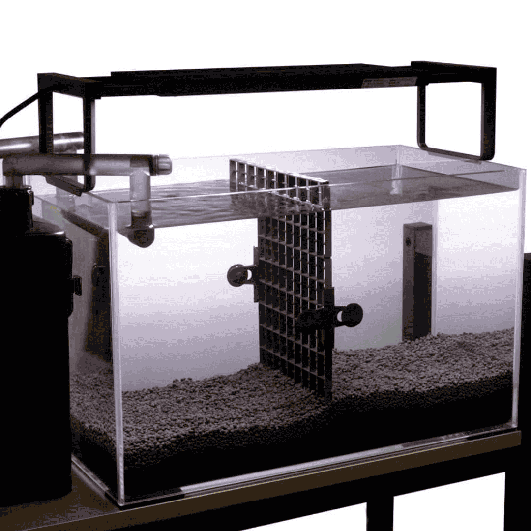 Divider Clips Grid - Suction Cups (Pack Of 2)