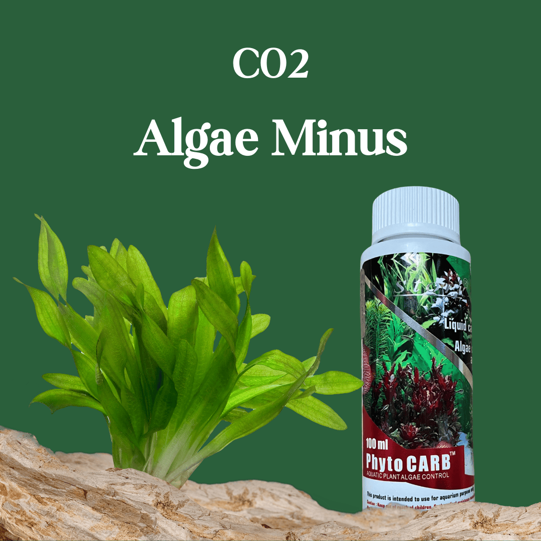 Fertilizer Aquatic Remedies Wild Phyto Carb Co2 Algae Controller