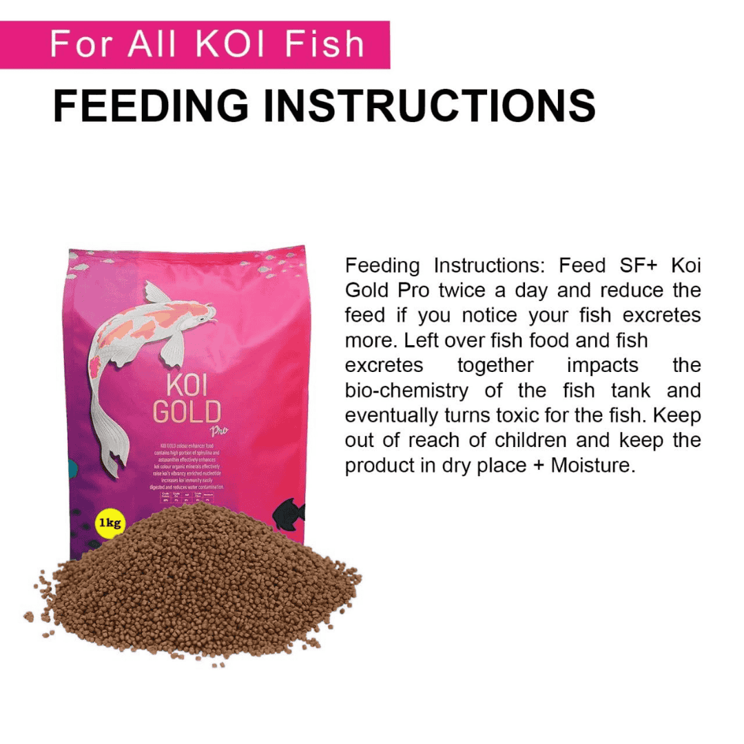 Food Redfin Koi Gold pro
