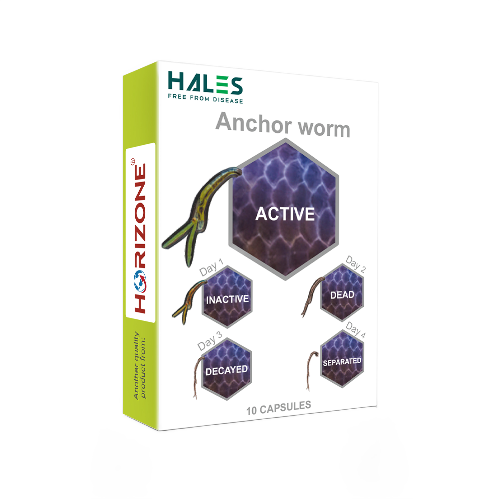 HALES for Treatment of Anchor Worms