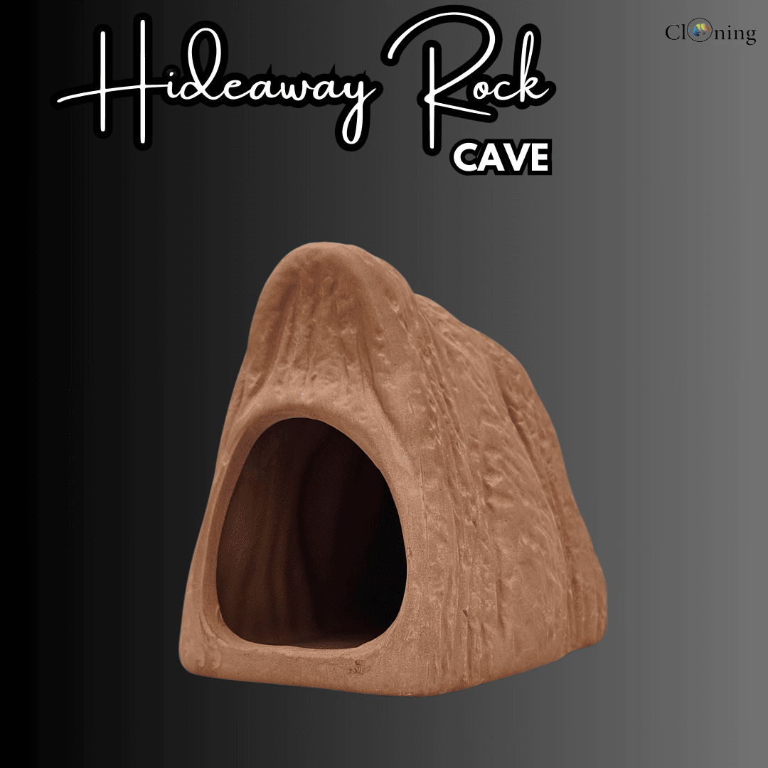 Japanese Clay | Hideaway Rock Cave Clay | Single
