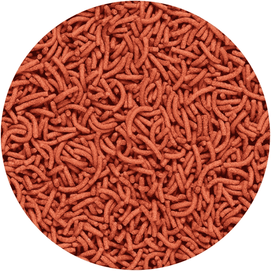 Hikari Vibra Bites Tropical Fish Food 73gm