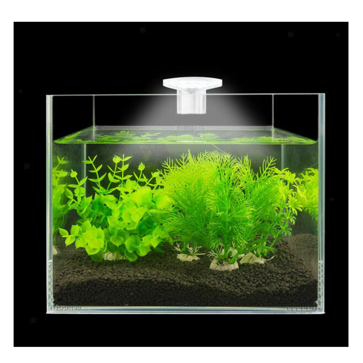 M3 Mini Clip Lamp 5W For Betta Tank