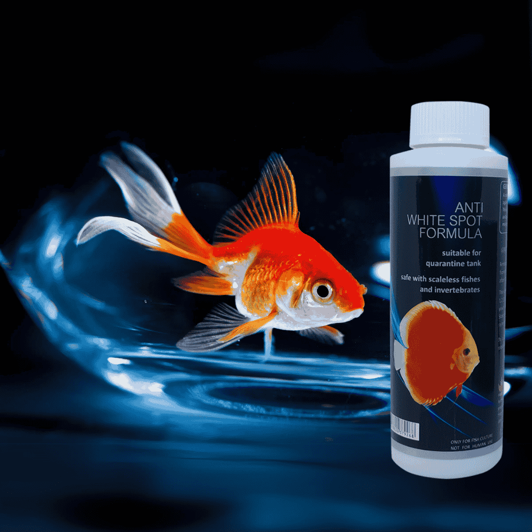 Medicine Aquatic Remedies General Cure 60ml