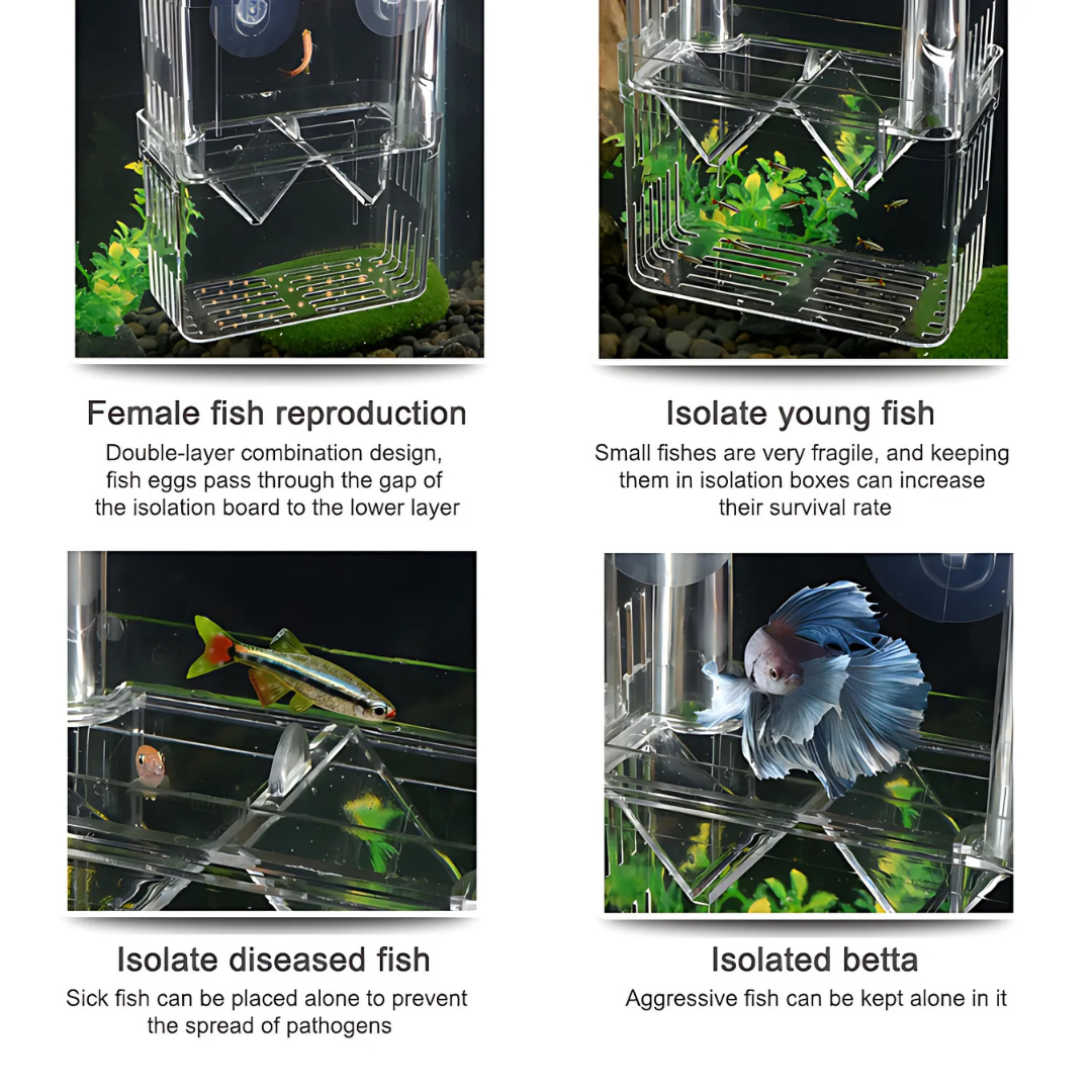 Breeding Box | Incubator Isolation Box (1 L)