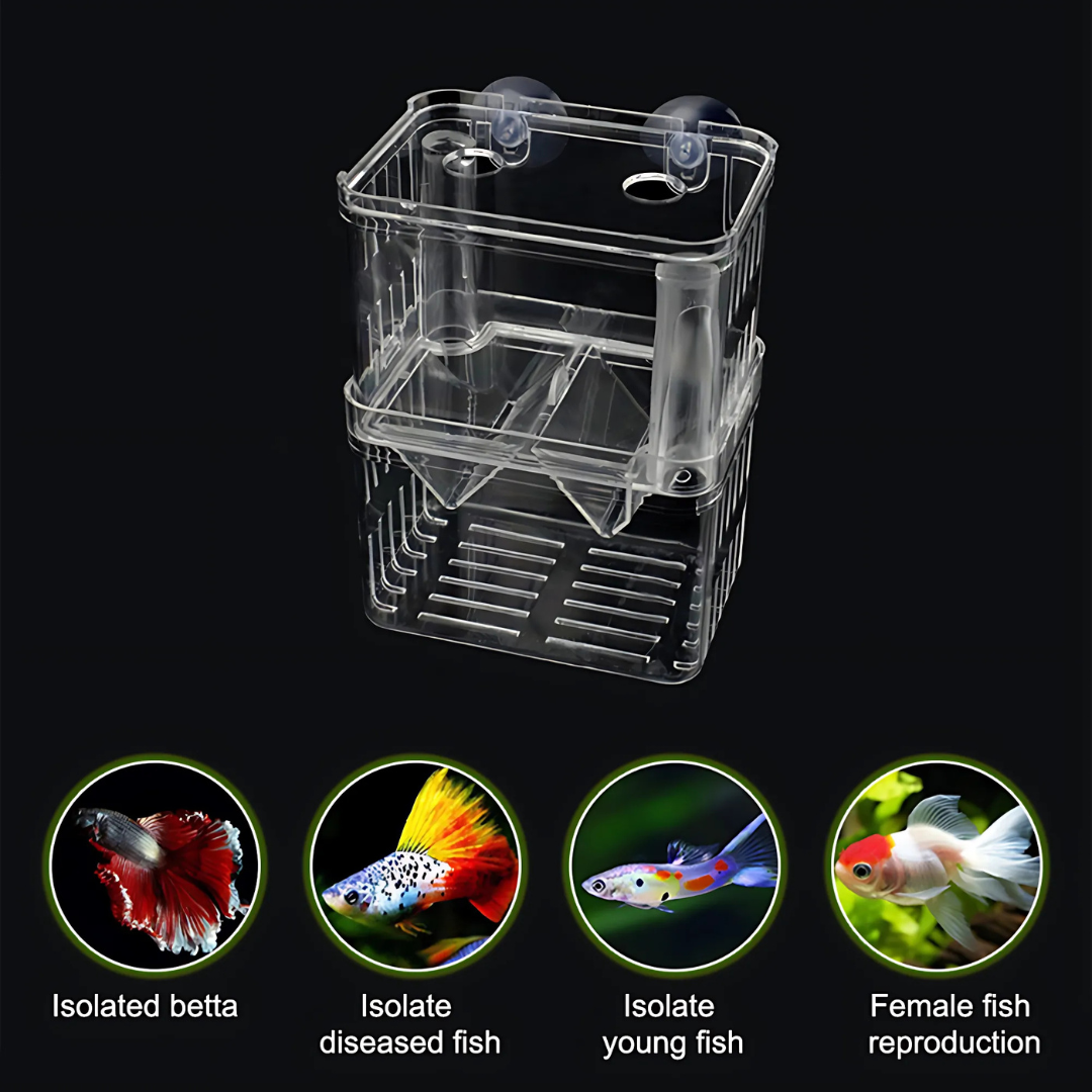 Breeding Box Incubator Isolation Box 1 L -LY 32100 – cloningaquapets
