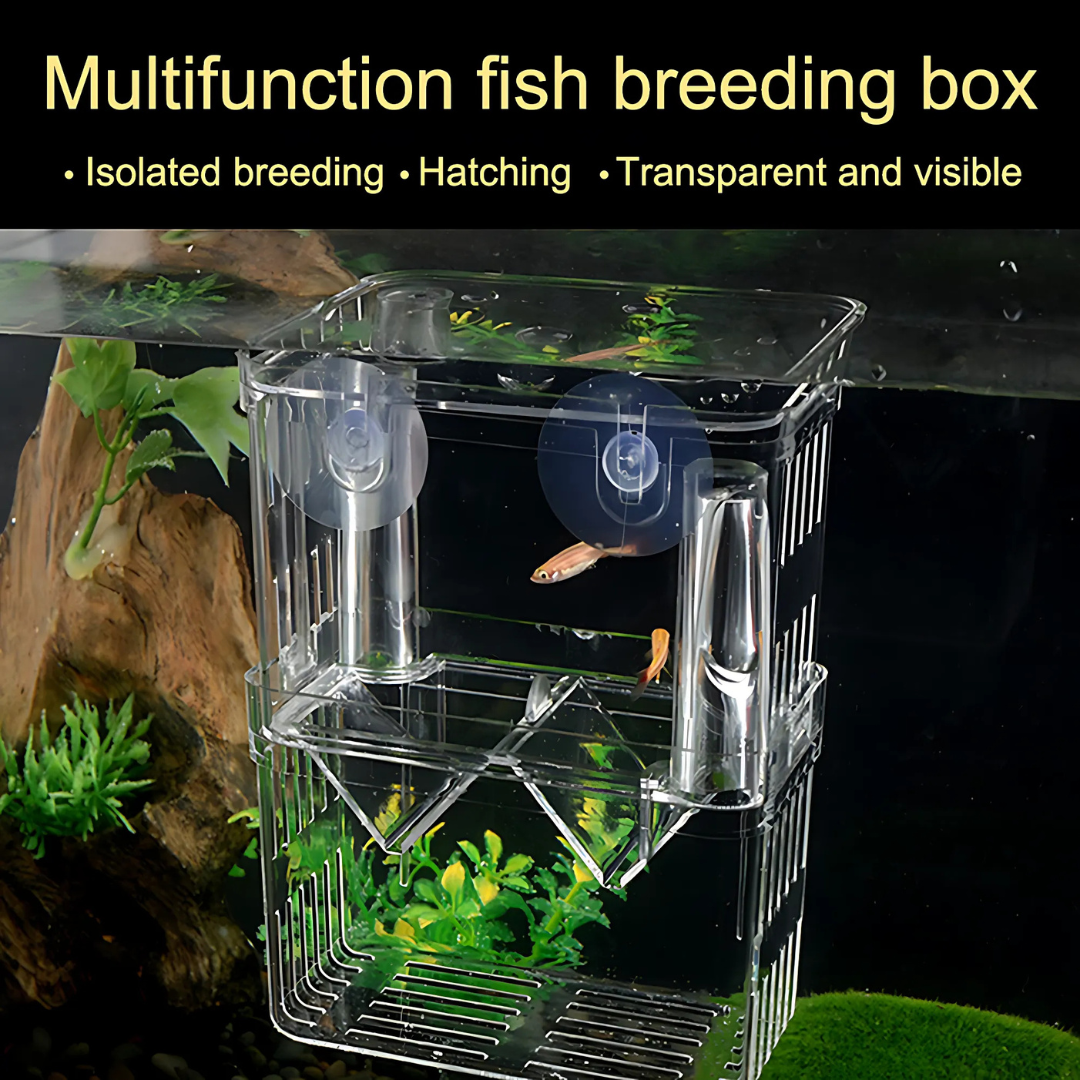 Breeding Box | Incubator Isolation Box (1 L)