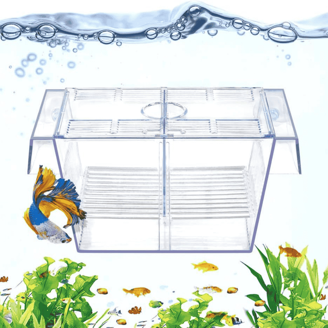 Nanbor Breeder Box FH-20