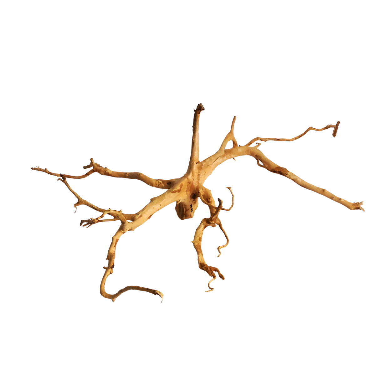 Premium Drift Wood PD-4 | L*W*H* = 27*17*10 Inches