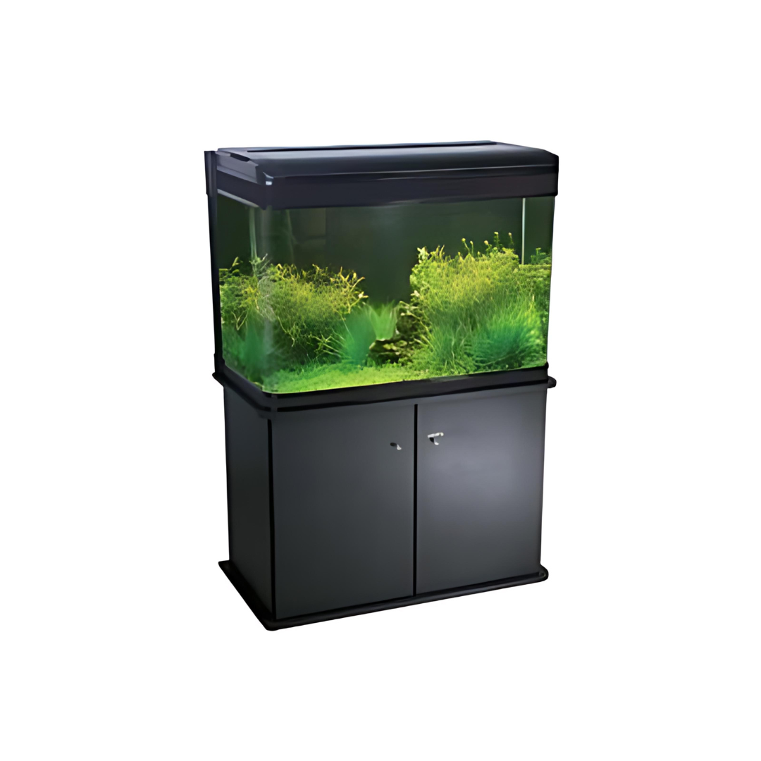 RS Electrical Glass Aquarium Only RS-80B (L*W*H = 81*40*60 cms)