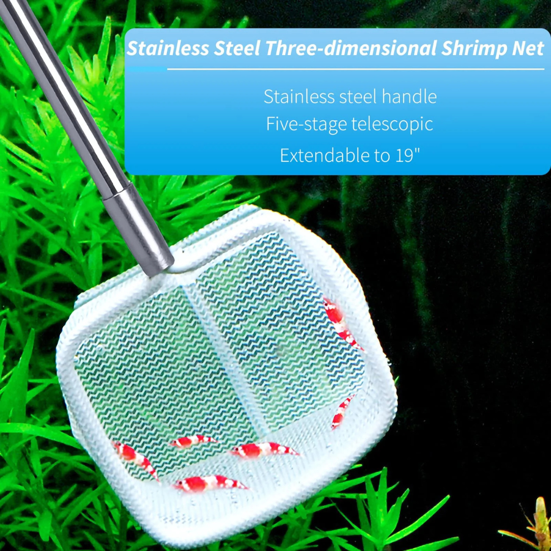 ಅಕ್ವೇರಿಯಮ್ ಶ್ರಿಂಪ್ ನೆಟ್ | ಸ್ಟೇನ್ಲೆಸ್ ಸ್ಟೀಲ್ ಹ್ಯಾಂಡಲ್