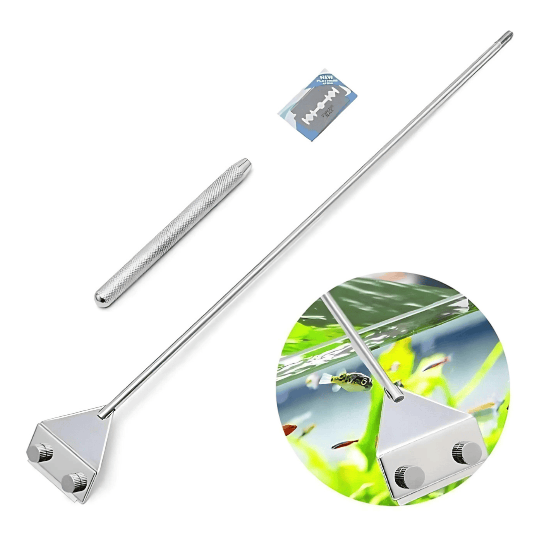 Stainless Steel Algae Scraper For 2ft Length