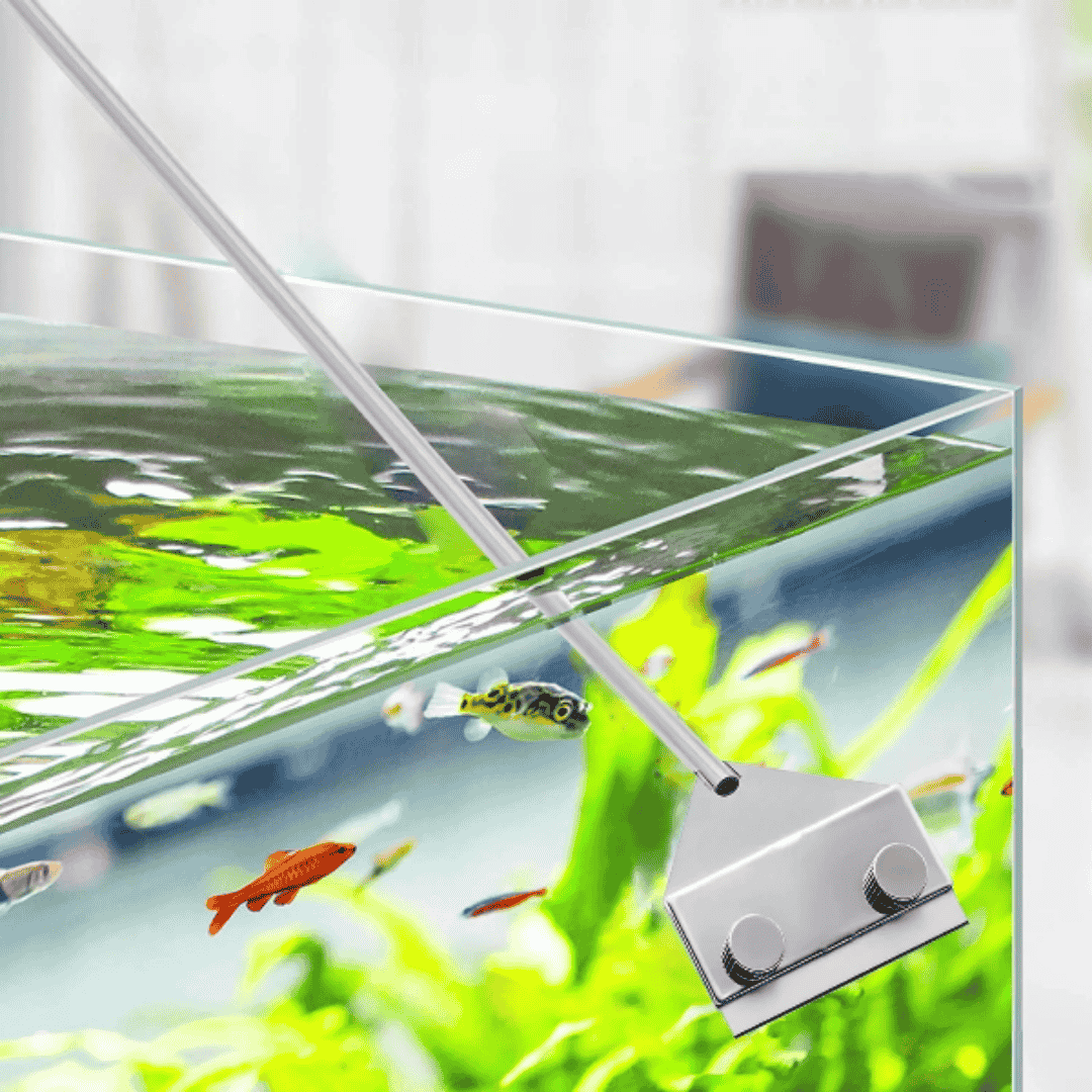 Stainless Steel Algae Scraper For 2ft Length