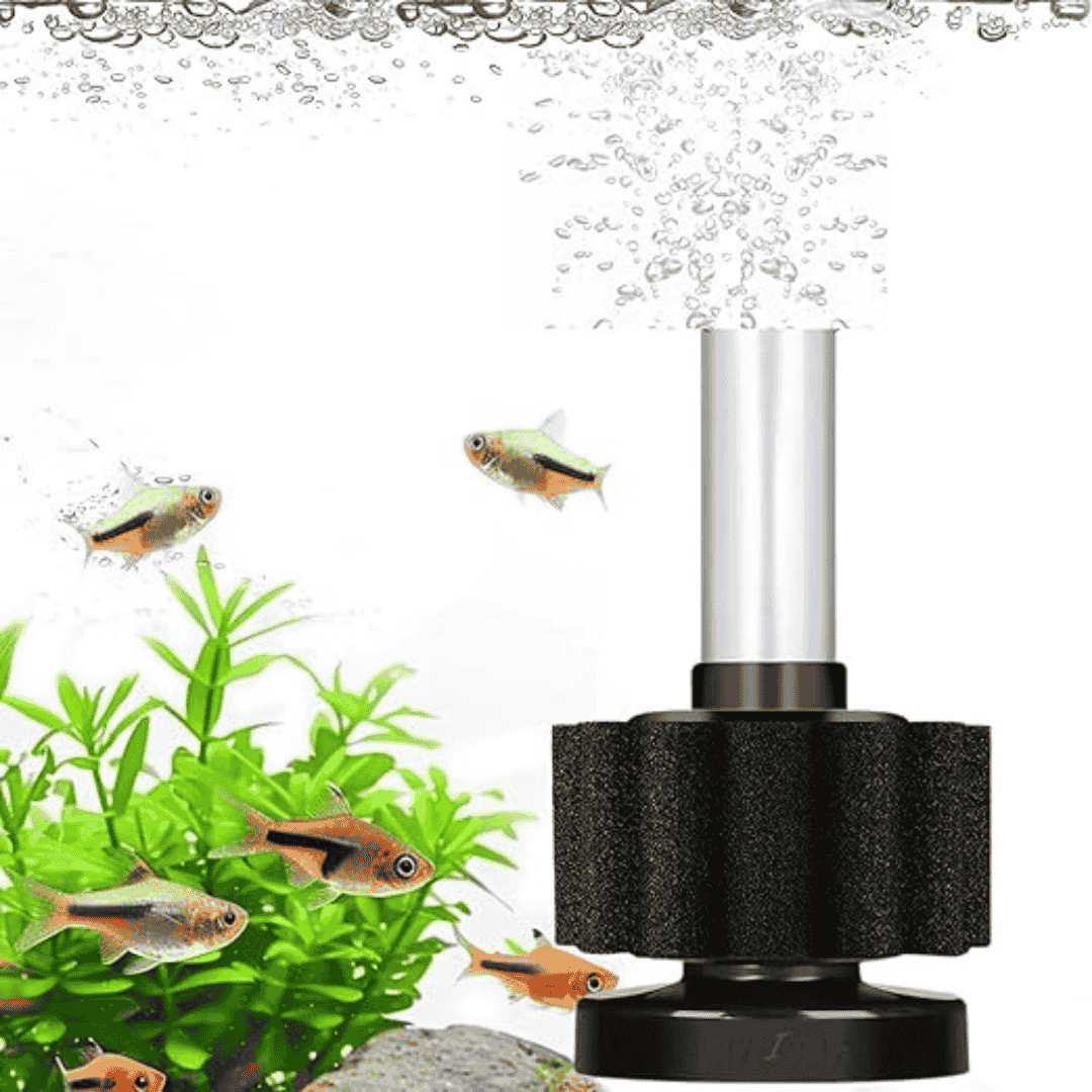 Liny Sponge Filter LY 2833