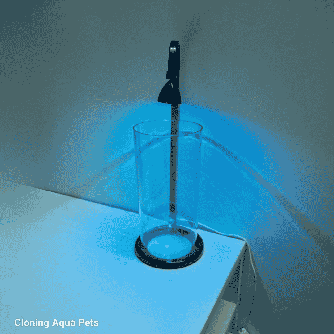 Petscope Cylinder Fish Tank