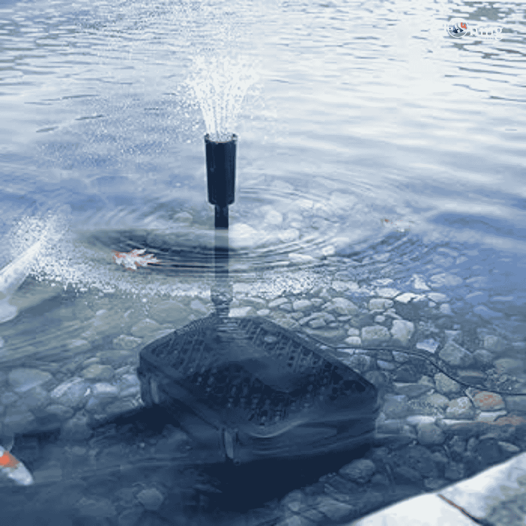 SunSun CUF-5000 Pond Filter