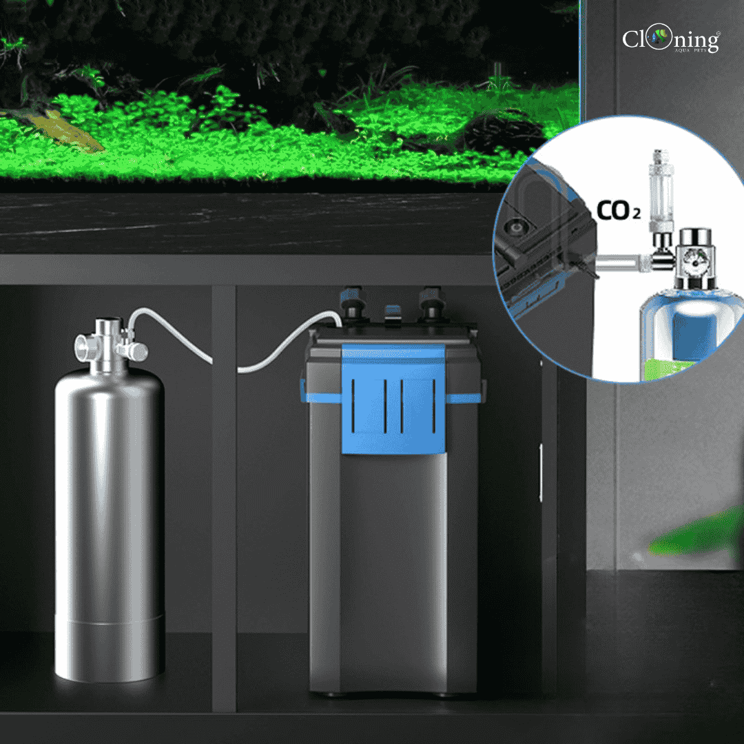 Dophin CF-11308 Canister Filter