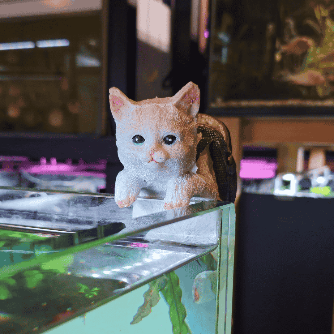 Decor Toy - 6*4*6 Inches - Hanging Cat