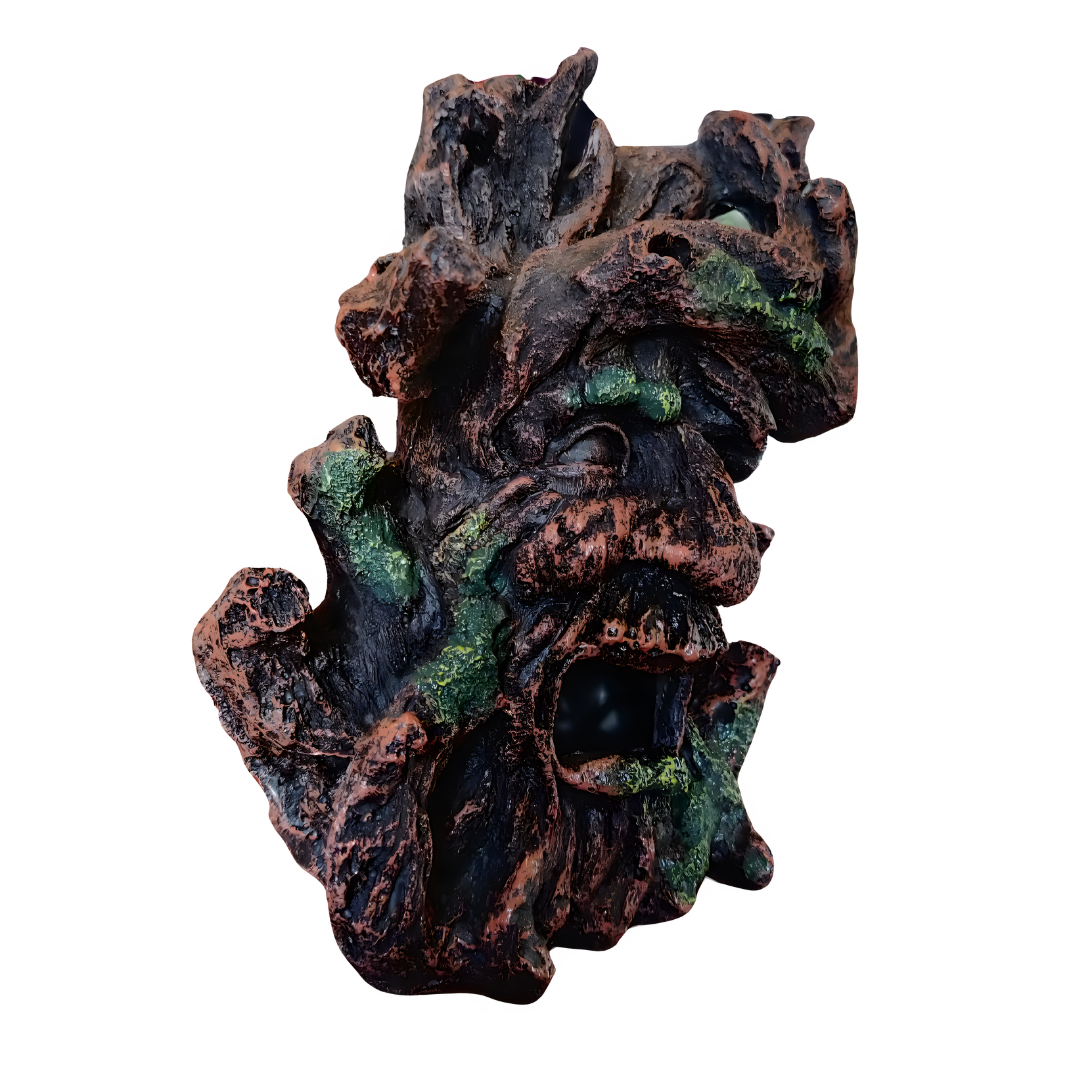 ಅಕ್ವೇರಿಯಂ ಅಲಂಕಾರ | 6*3*7 ಇಂಚುಗಳು | ಟೊಳ್ಳಾದ ಮರದ ತಲೆ