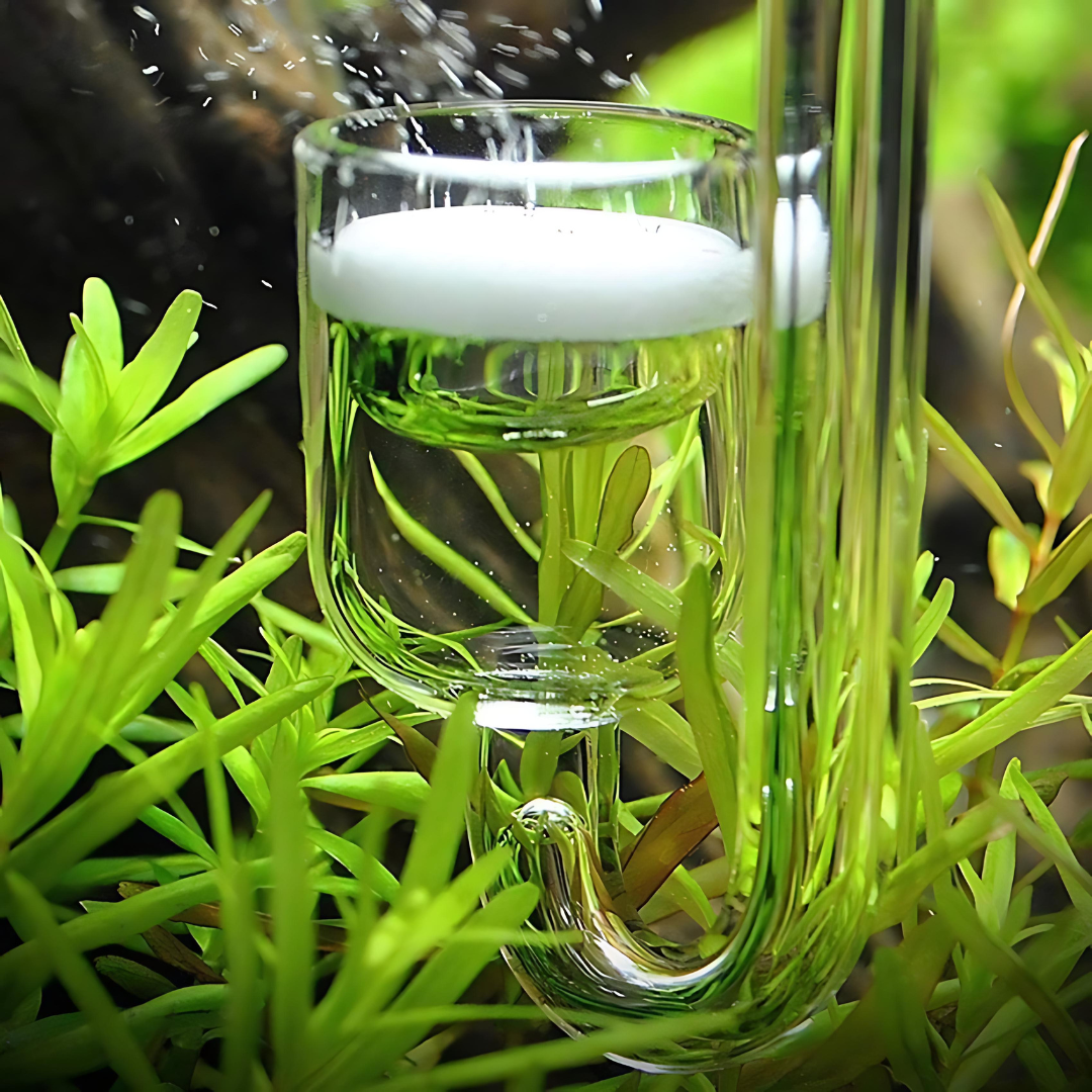 CO2 Glass Diffuser M Size