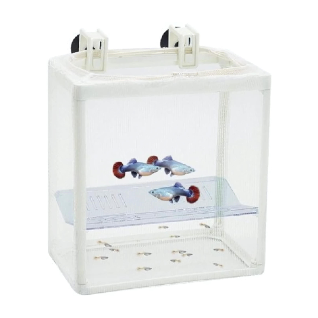 ಡಾಫಿನ್ ಬ್ರೆಡ್ಡಿಂಗ್ ಬಾಕ್ಸ್ BB-12