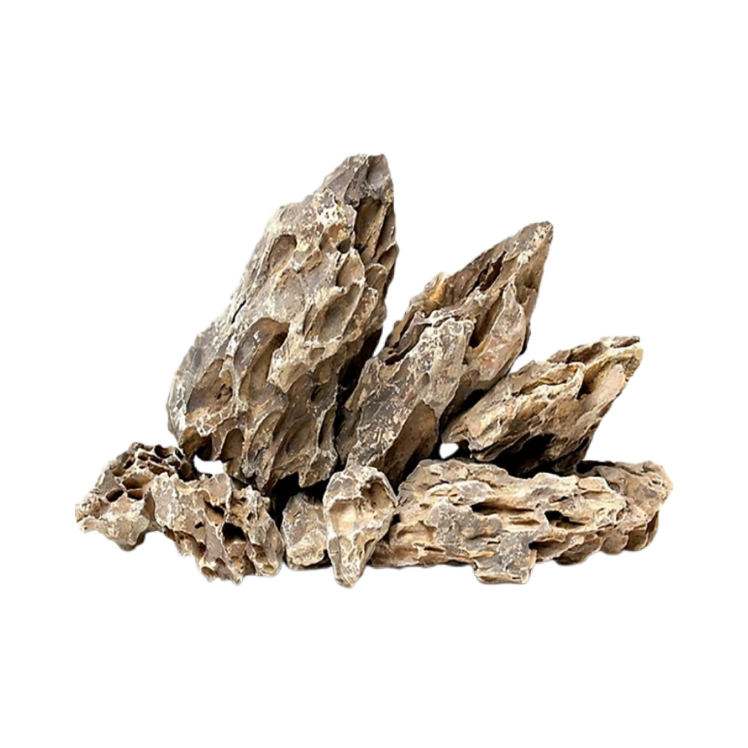 Decor Dragon Rock/Bamboo Rock - 1 kg