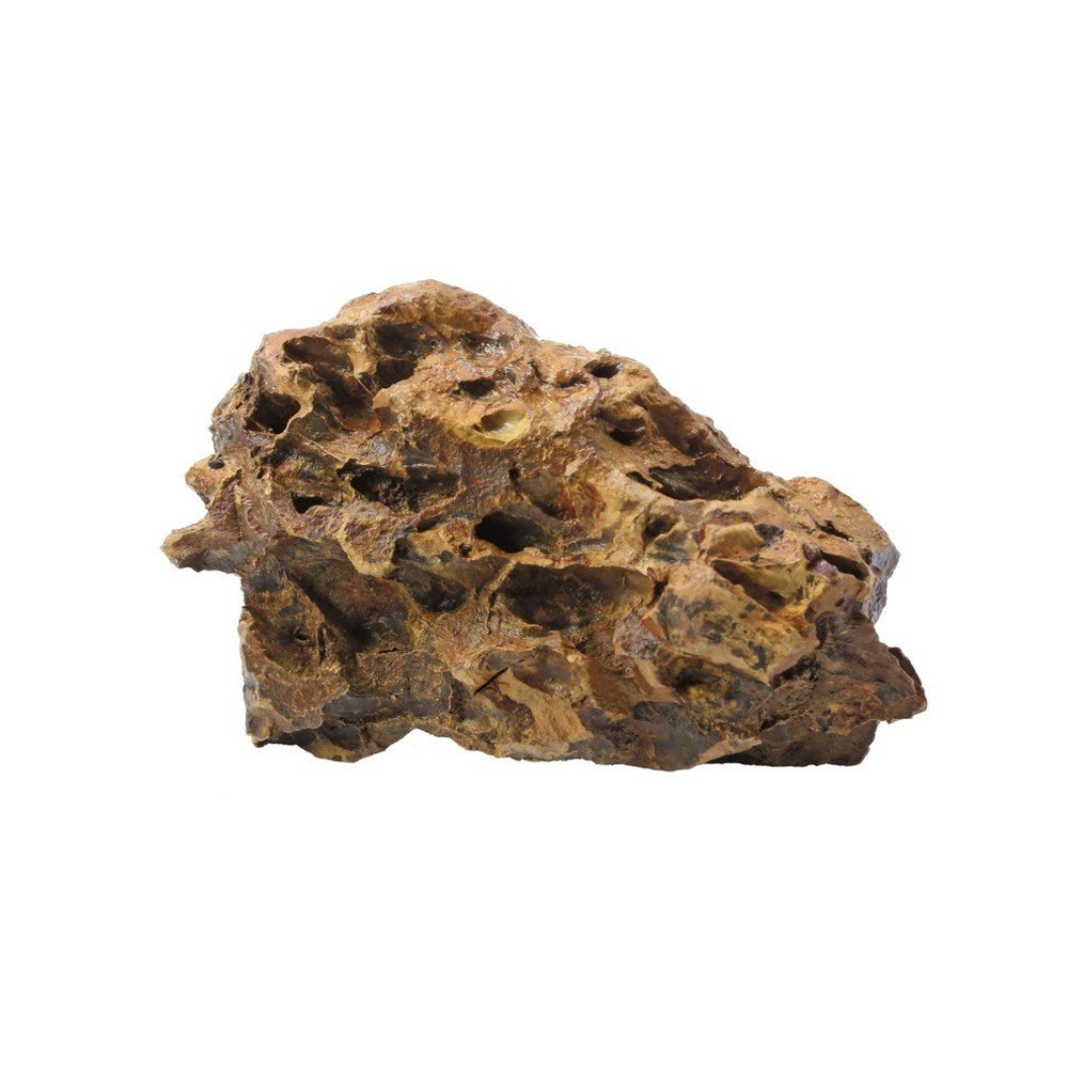 Decor Dragon Rock/Bamboo Rock - 1 kg