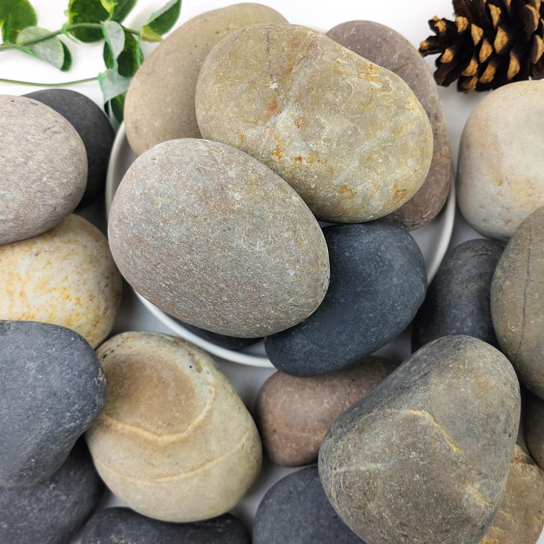 Decor Pebbles (Chapathi Stone) For Aquarium and Out Door Garden - 1kg
