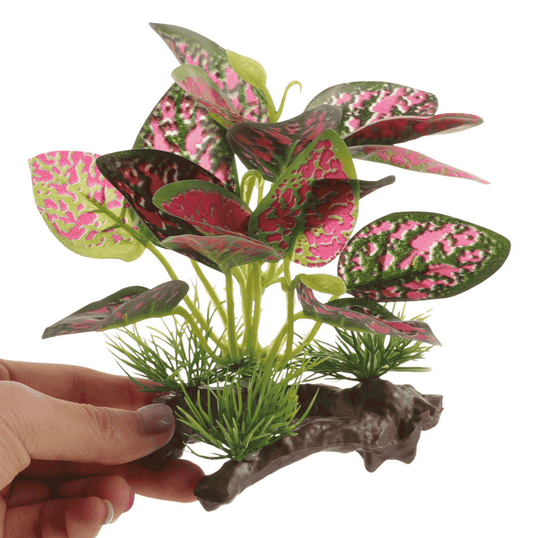 Decor Artificial  Plants