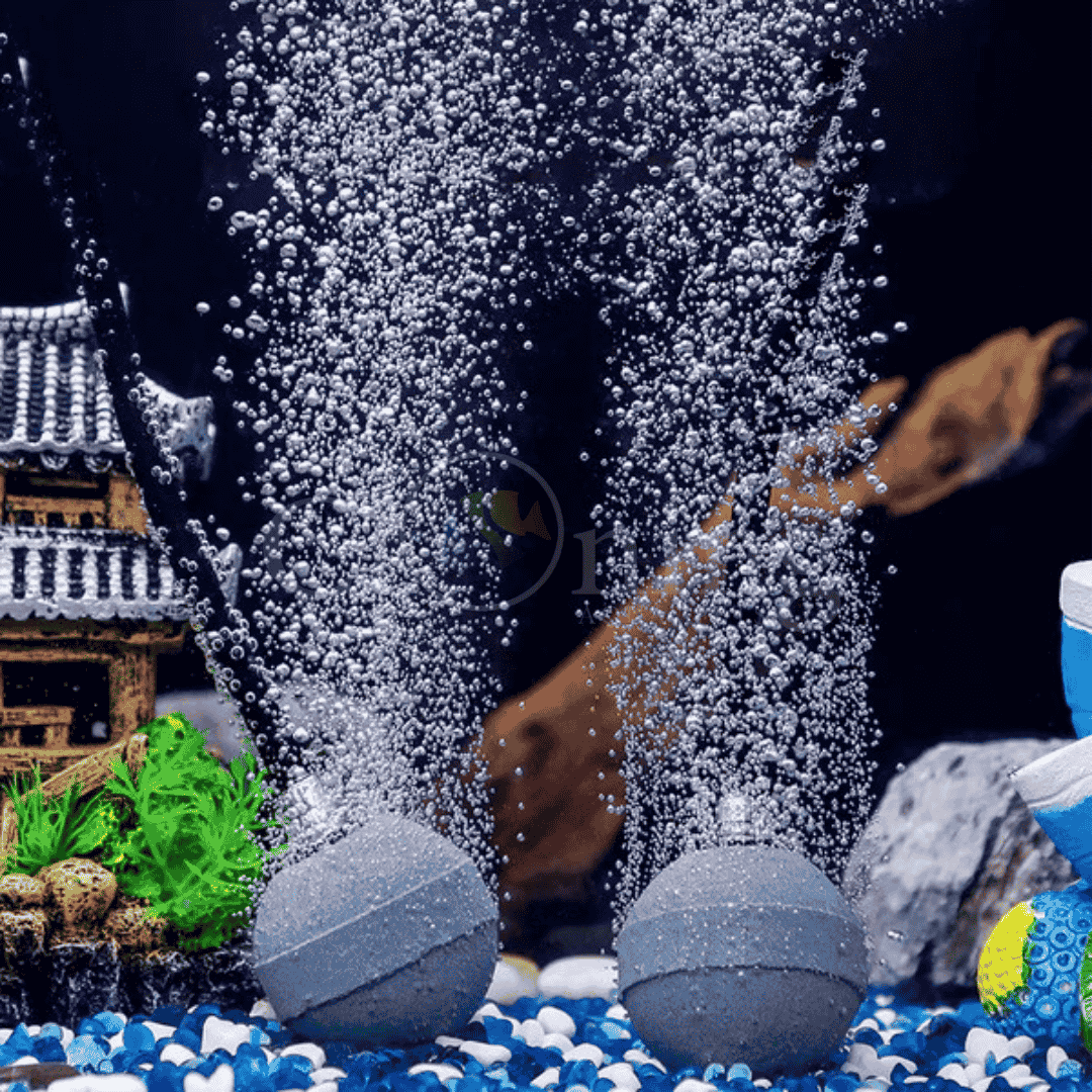 ಸಣ್ಣ ಸುತ್ತಿನ ಏರ್ಸ್ಟೋನ್ | ಅಕ್ವೇರಿಯಮ್ಸ್ ಆಕ್ಸಿಜನ್ ಡಿಸ್ಕ್| ಫಿಶ್ ಟ್ಯಾಂಕ್ ಏರ್ ಬಬ್ಲರ್.