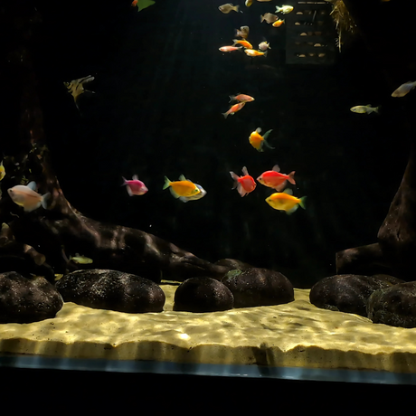 CHIHIROS Z Light Tiny - Advanced Zoomable Aquarium Light