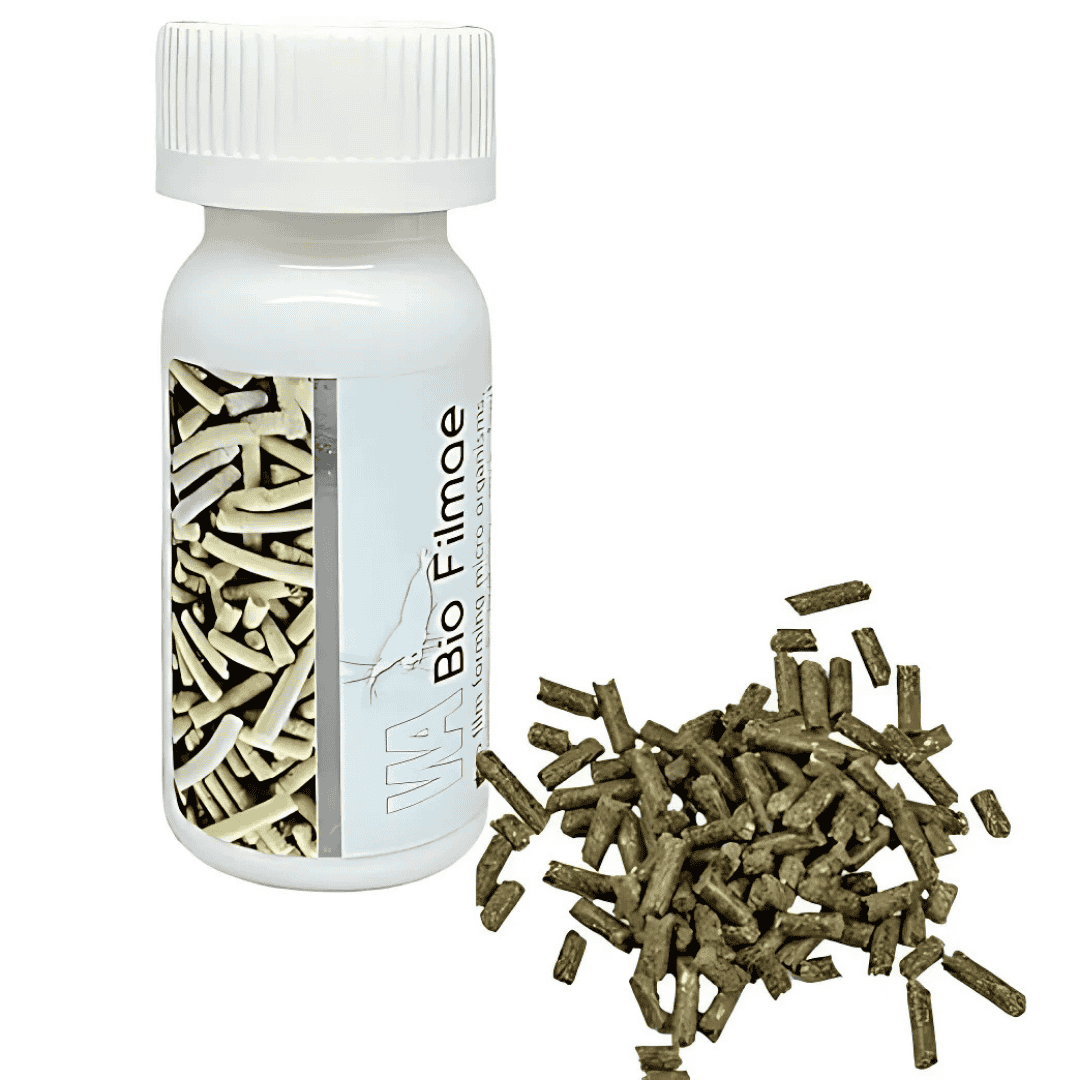 WA Bio Filmae Shrimp Sticks 15gm