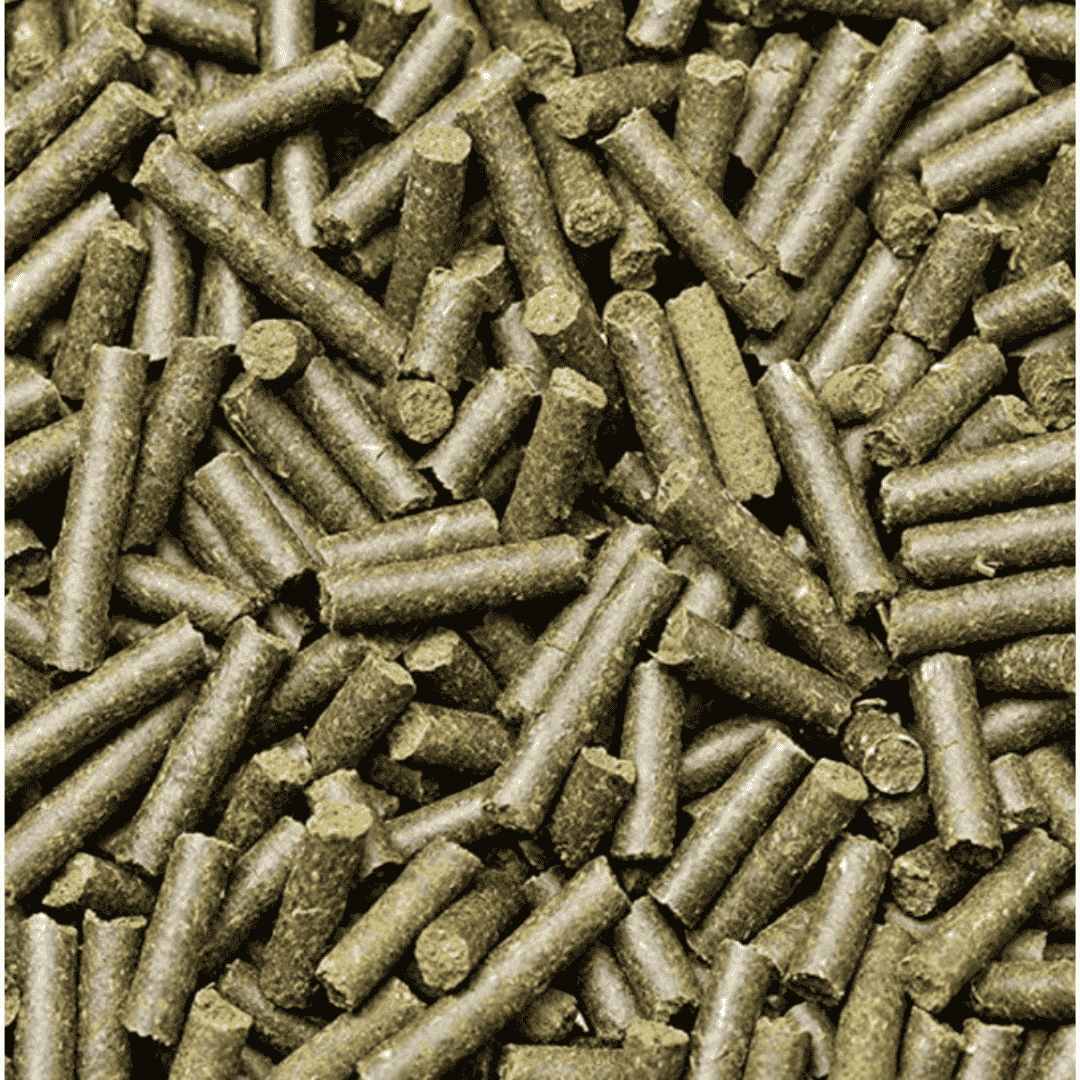 WA Spirulina Shrimp Sticks 15gm