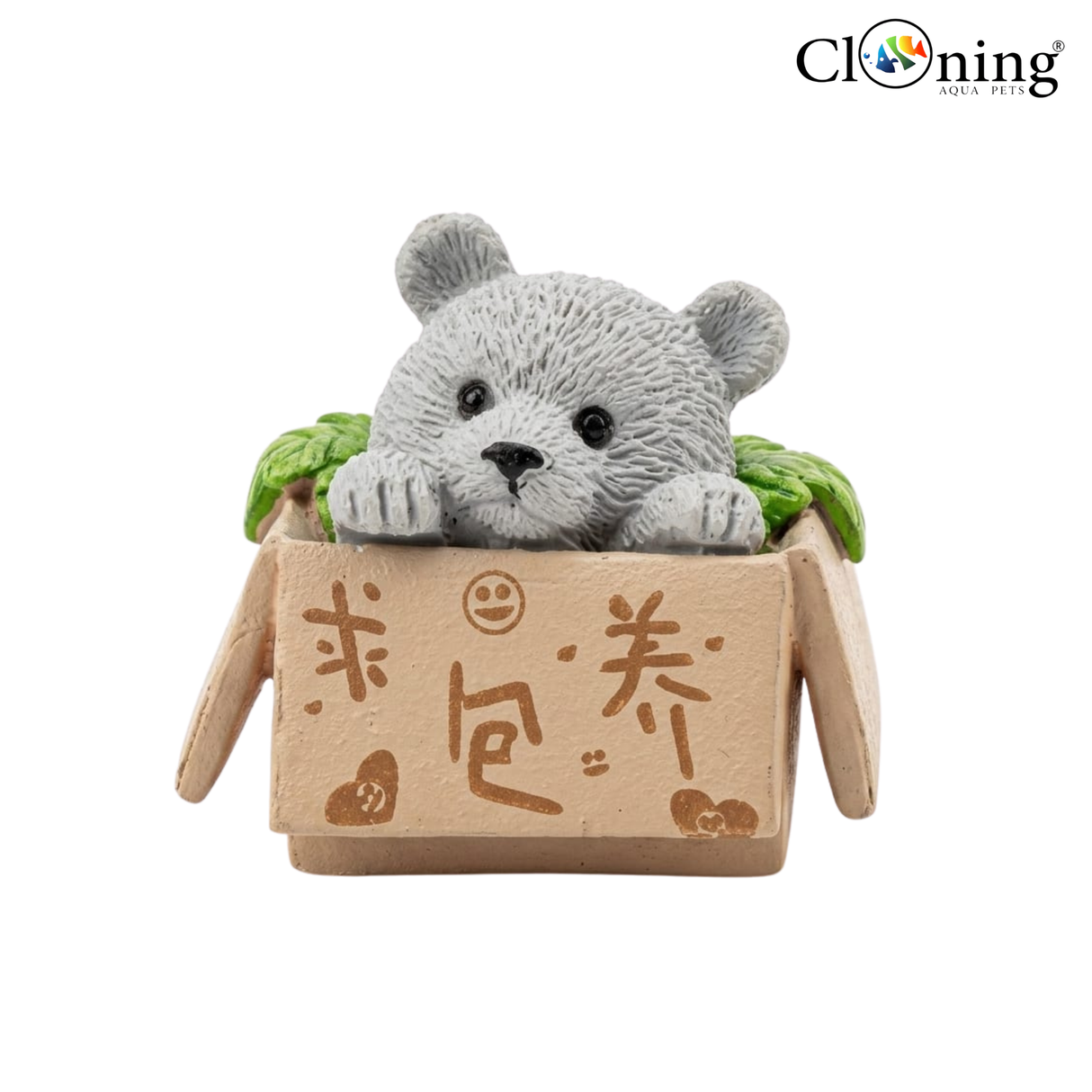 Decor Cute Cub in a Box