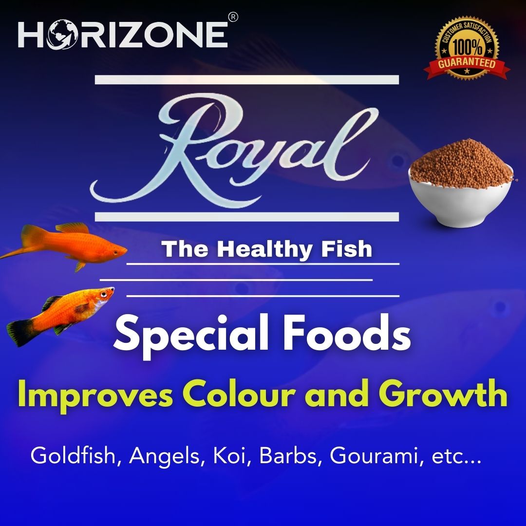 Food Royal Special 22g