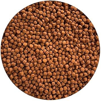 Food Inch Gold Parrot Color Enhancer