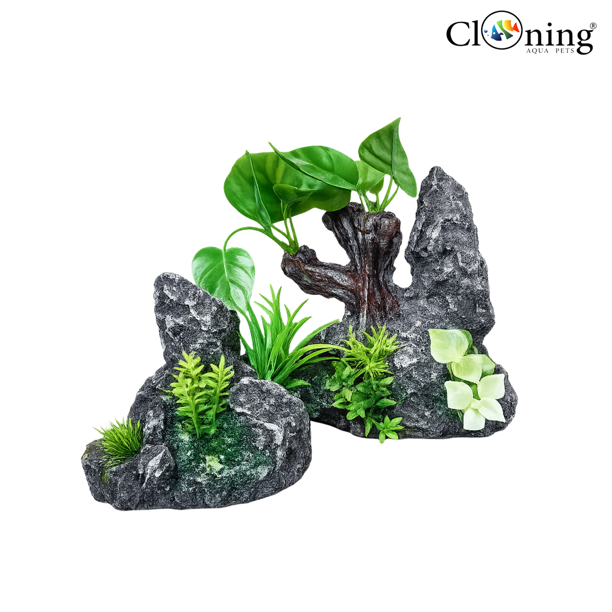 Decorative aquarium setup with rocks and plants on a white background, featuring the brand 'Cloning'.