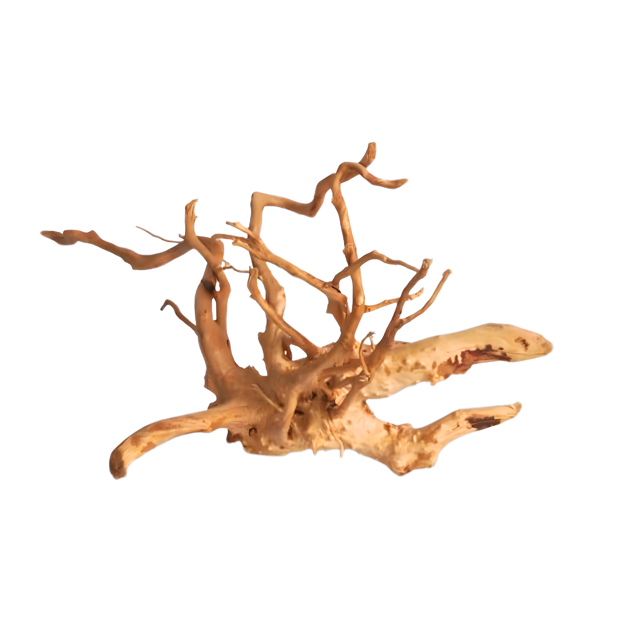 Premium Drift Wood PD-10 | L*W*H = 20*8*10 Inches