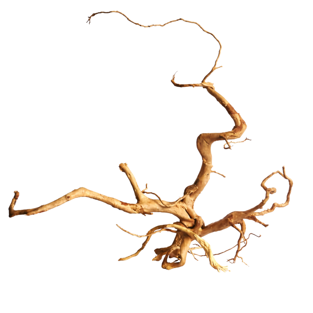 Premium Drift Wood PD-12 | L*W*H = 26*13*8 Inches