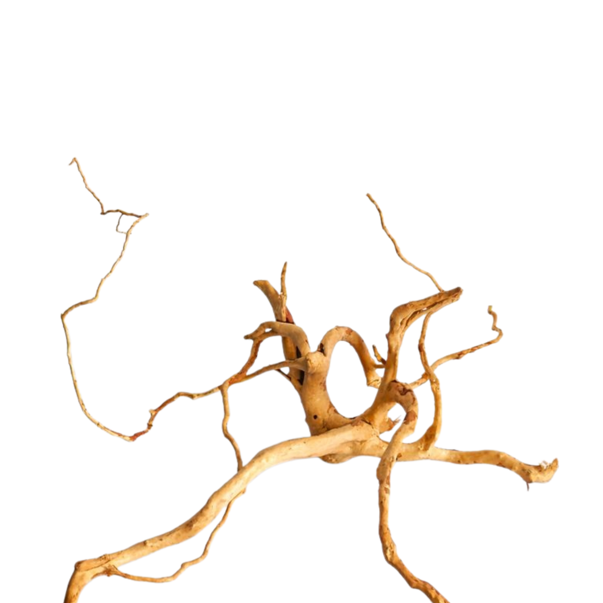 Premium Drift Wood PD15 | L*W*H = 28*13*8 Inches