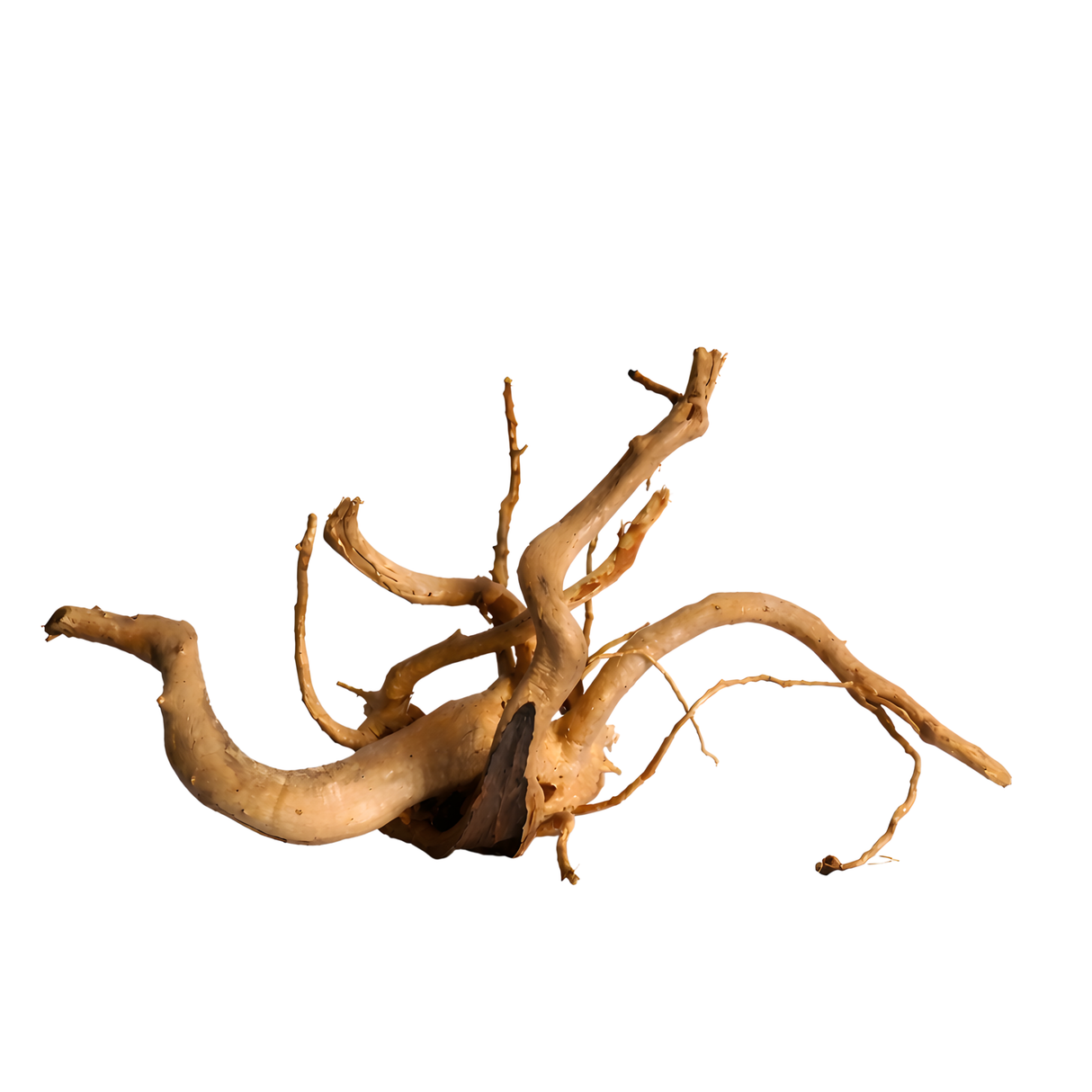 Premium Drift Wood PD-19 | L*W*H = 19*11*9 Inches